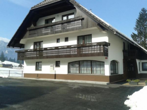 Отель Apartments Bor, Бохиньска Быстрица
